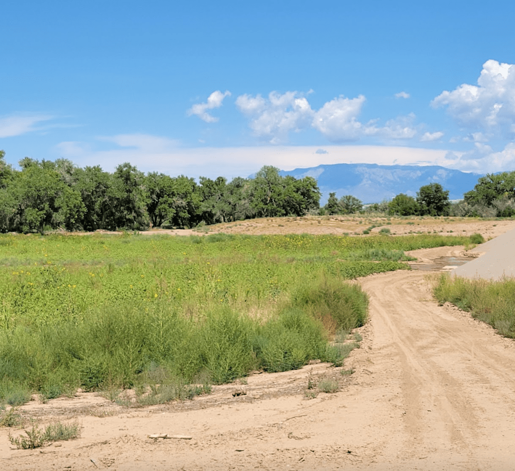 Albuquerque’s Rail Trail: More Than Just $500K—A Turning Point for Our&nbsp;City